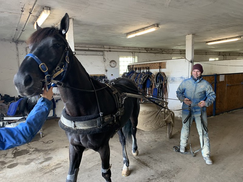 Bo Westergaard over to millioner Bo w
