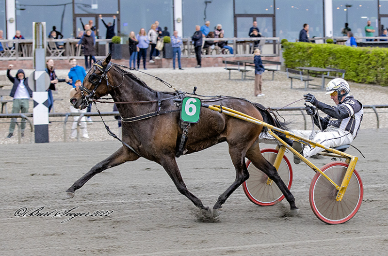 Kommer Golden C N gennem nåleøjet GOLDEN_C_N_D2I7821