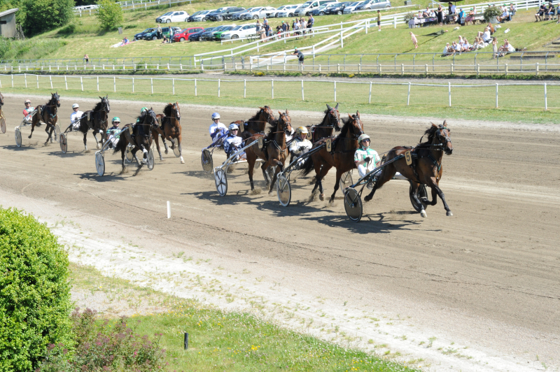 Dommerne gav disse en hilsen DSC_1330