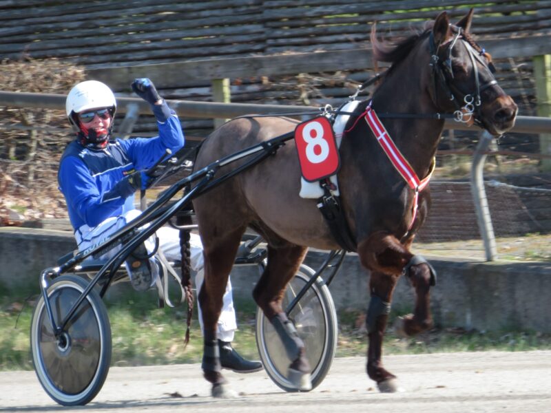 Mikke og Tip Top 1 scaled e1654175542170