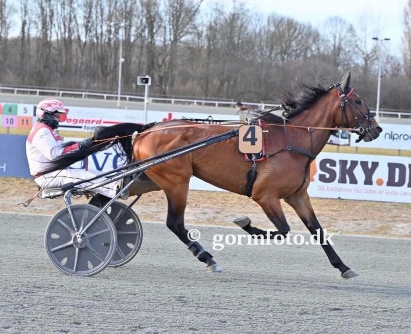 Georgian Downs formidlet videre geor