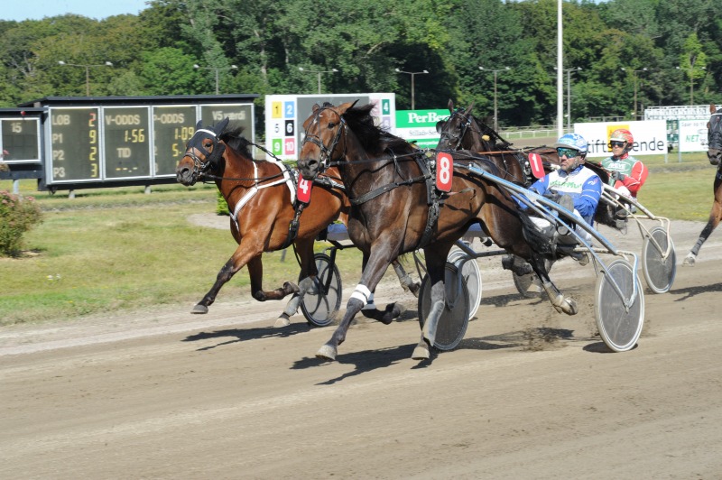 Sådan gik det i prøverne til Jydsk 3-årings Hoppe Grand Prix Head Over Heels
