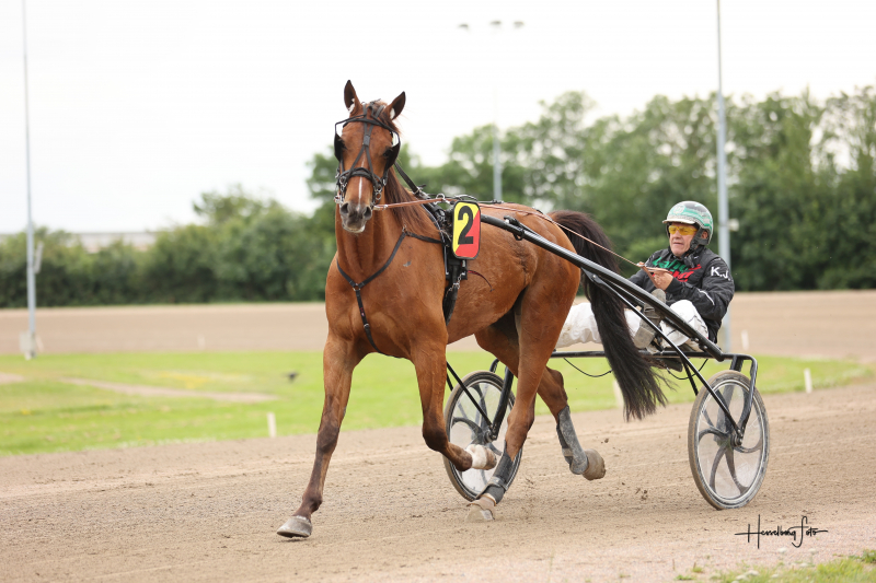 Salgsmenuen to salg på fire dage 895A0364