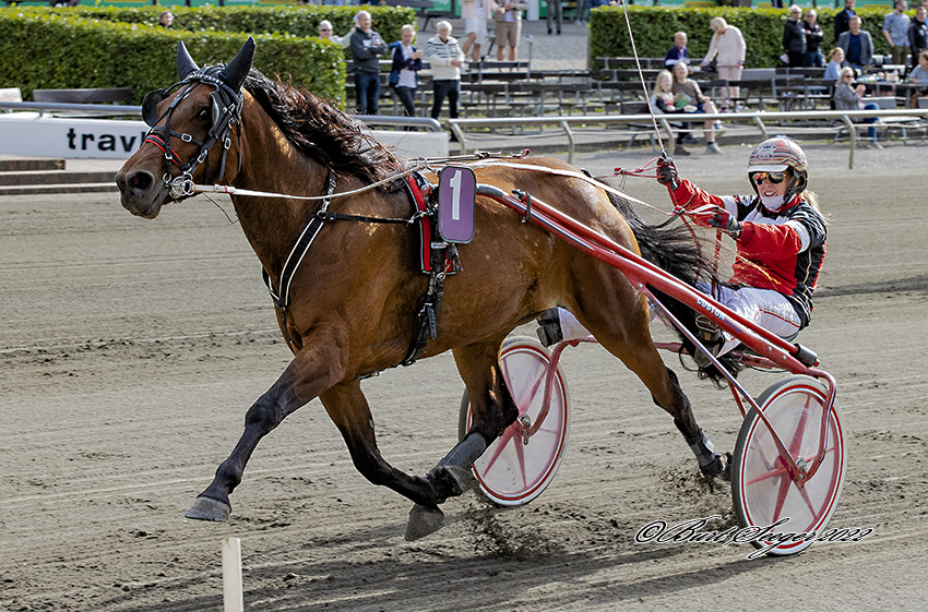 Trav Charlottenlund