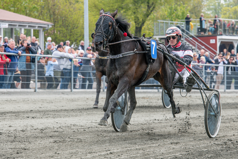 Daydream med Niels Erik Christiansen Bornholms Brand Park 17 maj 2019 Fotograf Torben Ager Travfoto Bornholm TKA 3957