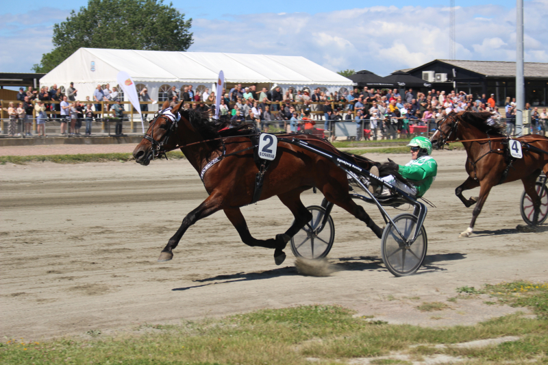 Lady L L 220710