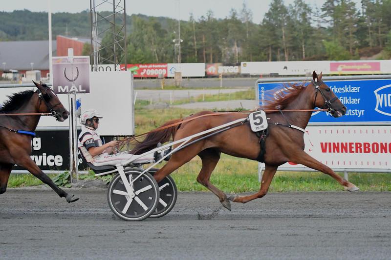 Tredje sejr i fjerde start for dansk opdræt 290316587_2258808850950602_5613106619461772117_n