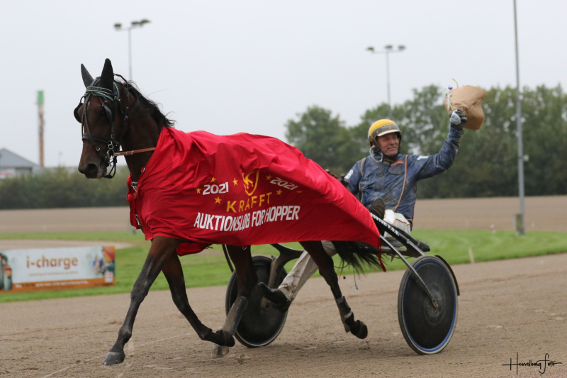 Magnus Ladegaard køber udbudt hest 3M1A2509
