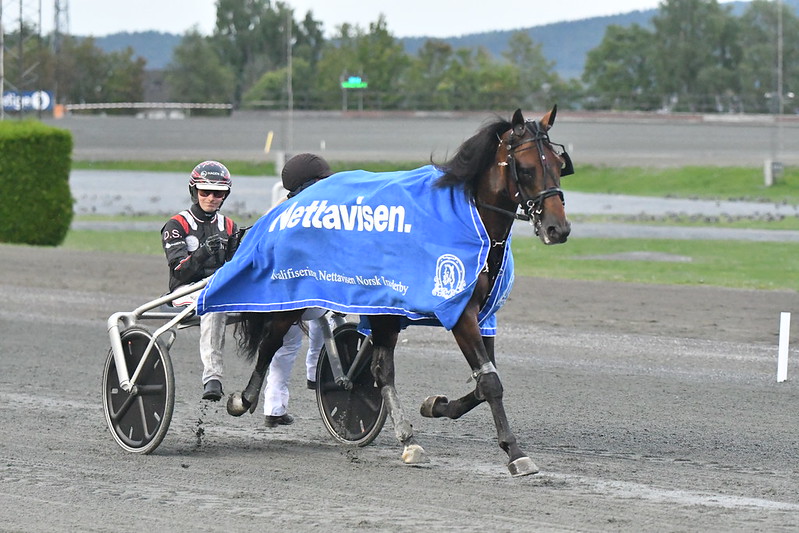 Glæde hos Kaj Westergaard 52309740183_c7a3052054_c