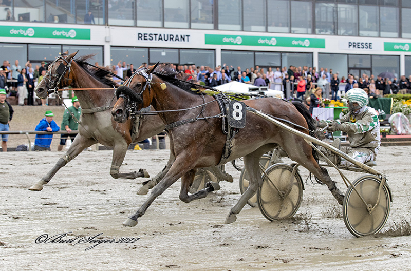 Udland - Eenymeenyminymoe starter på Vincennes EENYMEENYMINYMOE_S2_4384