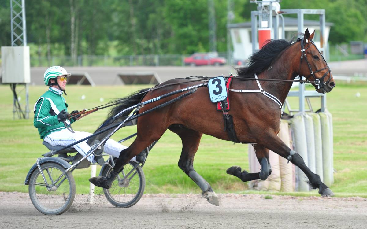 Jan Hansen
