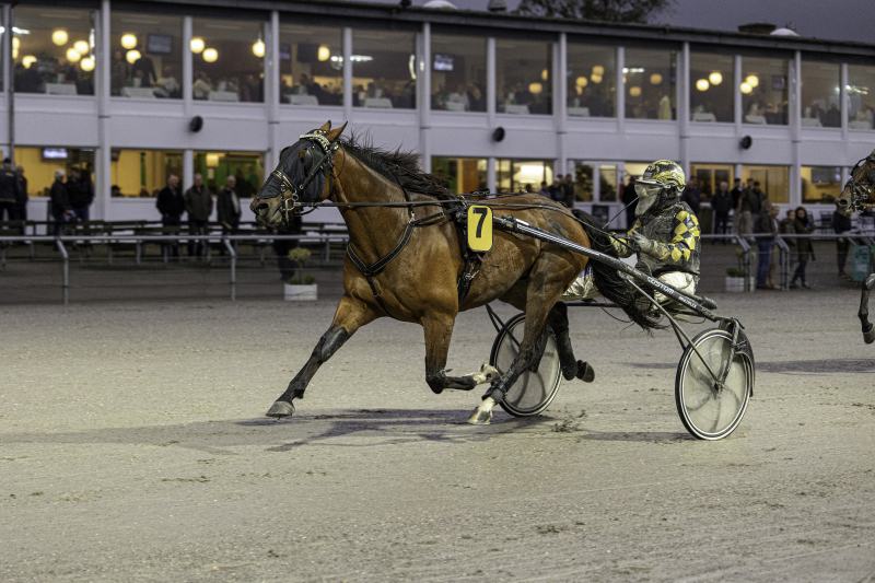GASTON 1 of 1