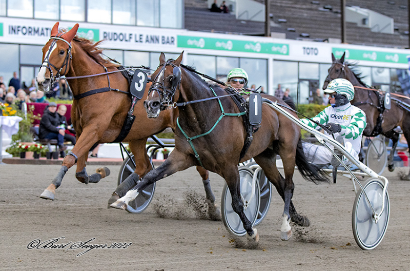 Deliciousstone vandt igen i Canada DELICIOUSSTONE_S2_7973