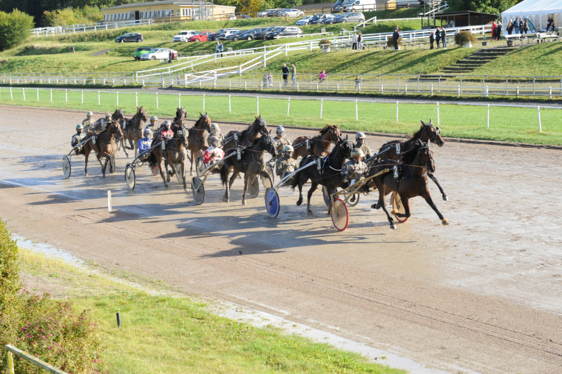 Jydsk Væddeløbsbane - Dommerne uddelte bøder for 10.400 kr.. DSC_4140