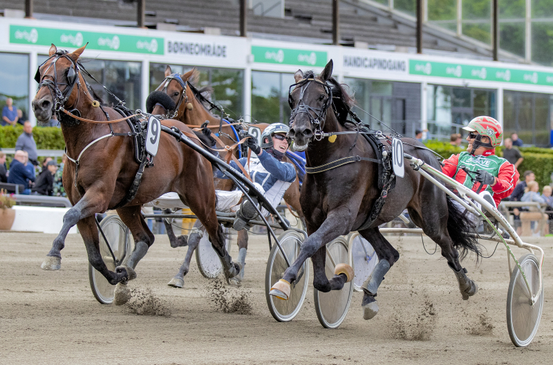 FARASI SURPRISE S2 2881