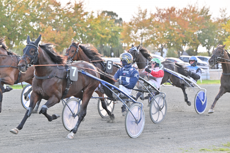 HARBOE_NZ9_1501