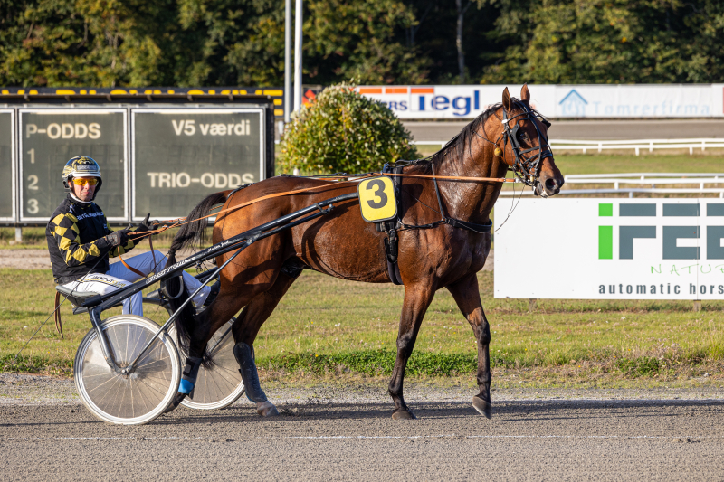 Birger Jørgensen rundede 100 sejre hunter_dragon_1_of_1_3