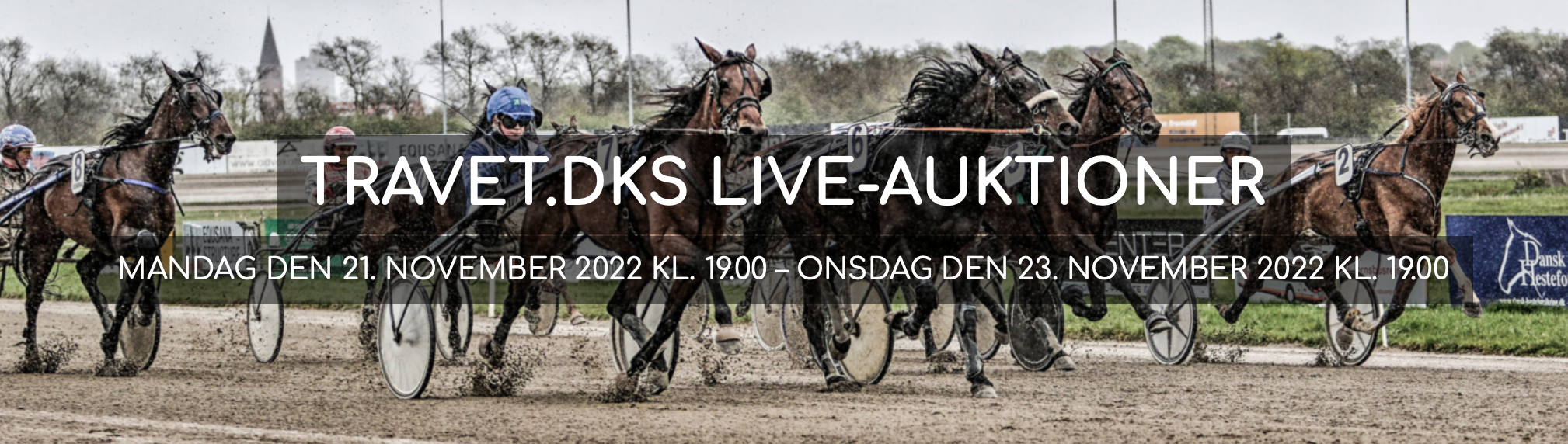 AuktionNov2022