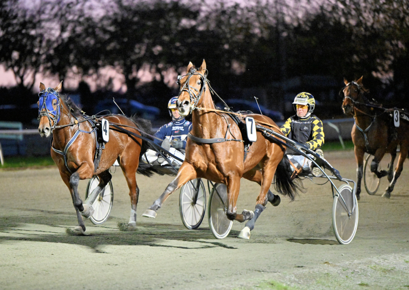 HUNTER DRAGON NZ9 2853