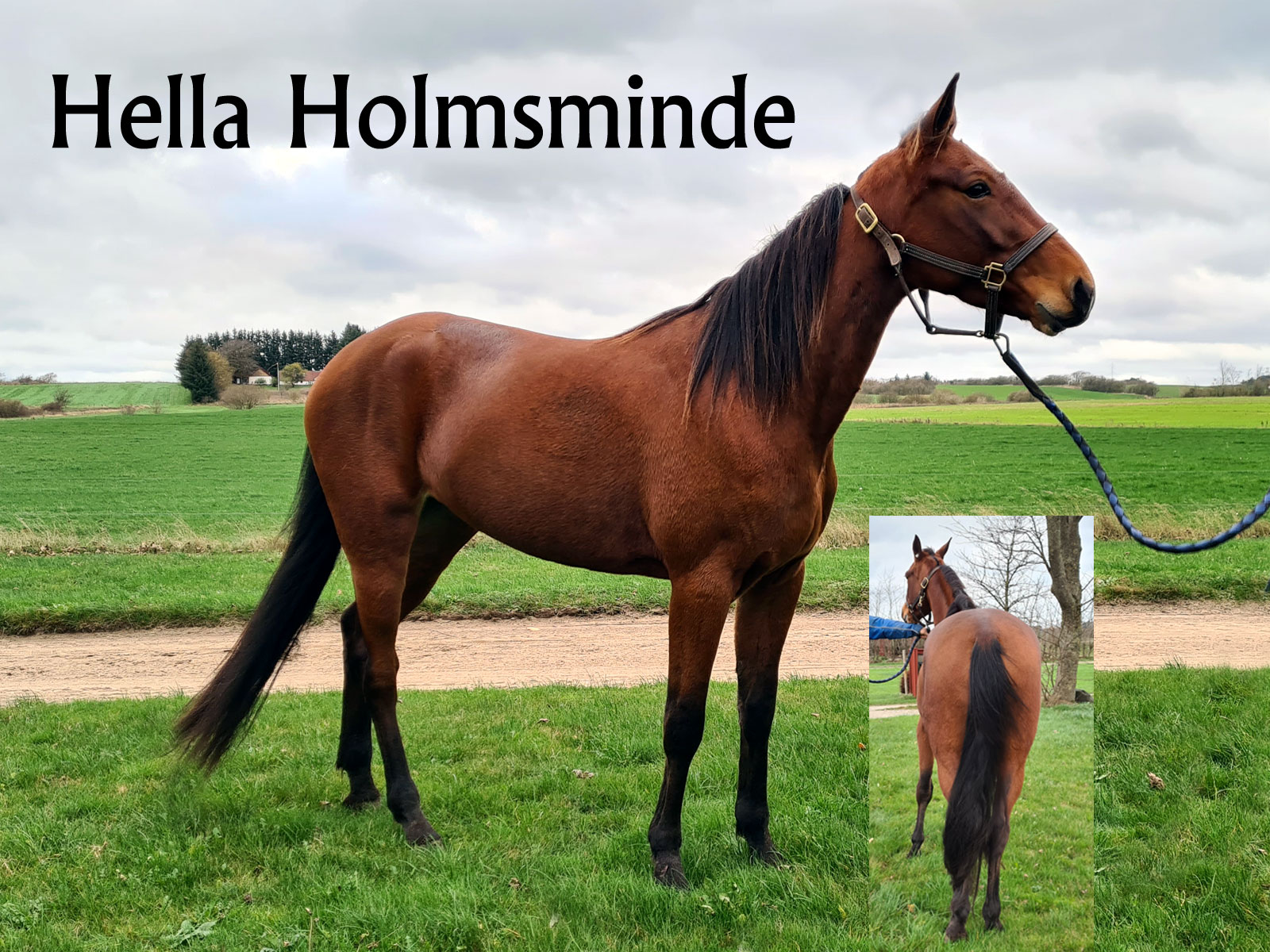 Hella-Holmsminde