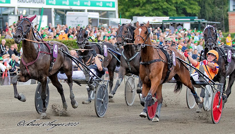 Indland – N J Koster Koster Memorial frem for Gulddivisionen heart_of_steel_s2_5279