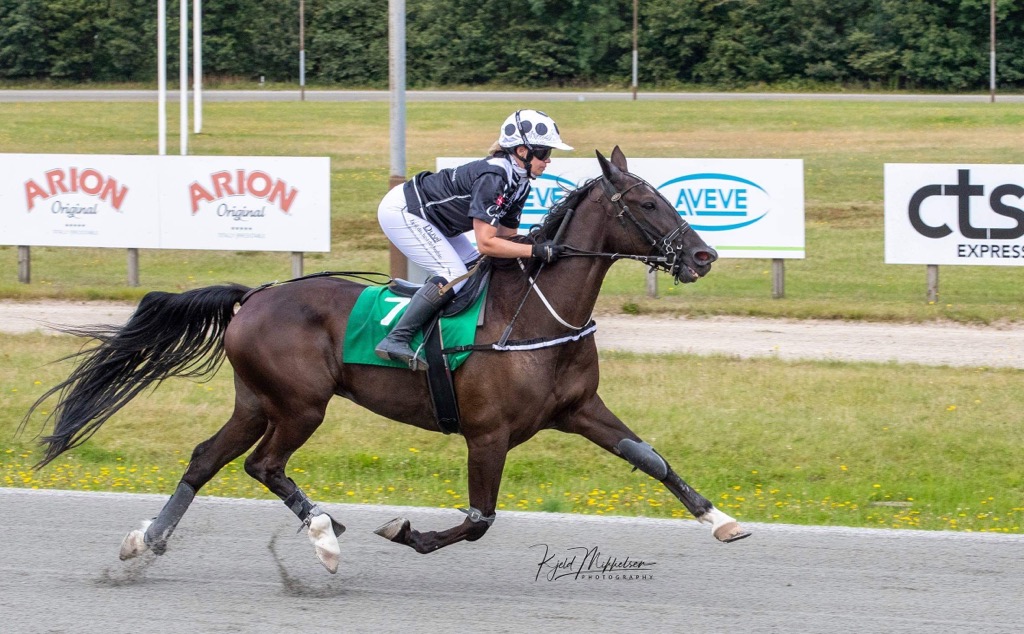 Salg – Nyt salg monte