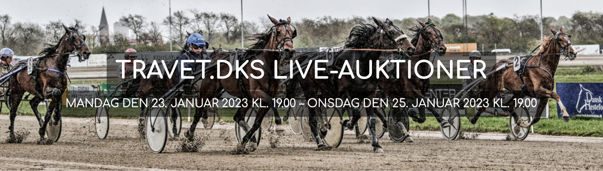 AuktionJan2023