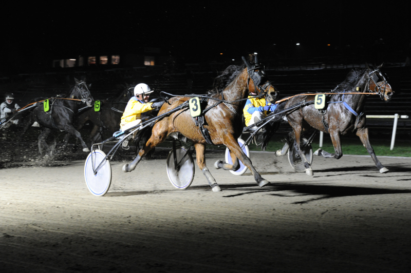 Sådan en historie er guld værd DSC_5741