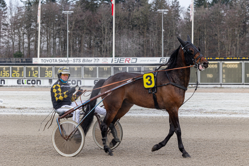 Titalende debutant indledte i Skive HUDSON_SPRING_1_of_1_