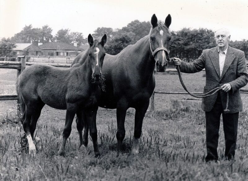LilliHanover-med-GilliHanover