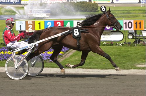 legendary lover k canter1