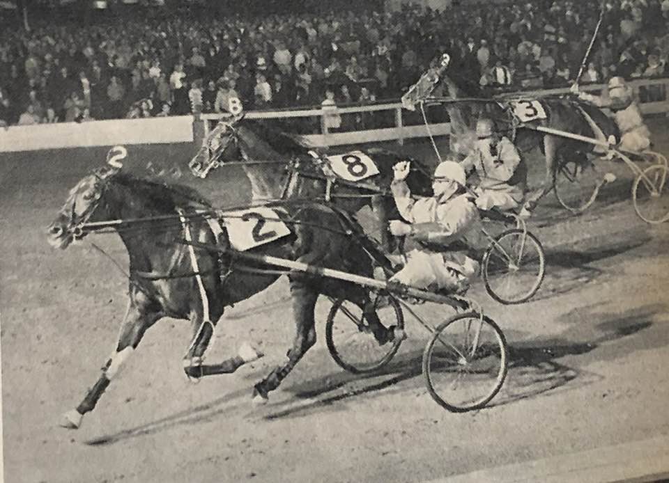 Efterlysning - Hvem er Danmarks ældste travhest?? Pay Dirt vinder i USA 1966