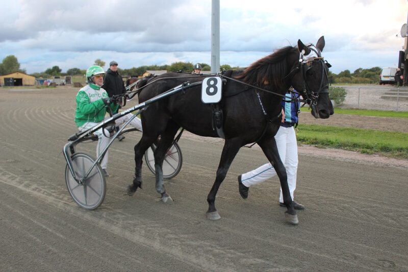 Maj Hackstable – Formidlet efter 24 timer 309273477_589391852976780_7092039058053765792_n (1)
