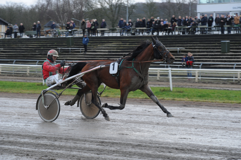 Ecco C N og Even Steven på Vincennes Enjoy The Game