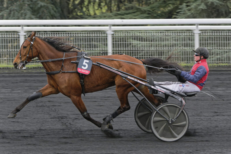 Prix de Paris gav sejr til Ampia Mede AS Vincennes- 12-02-2023