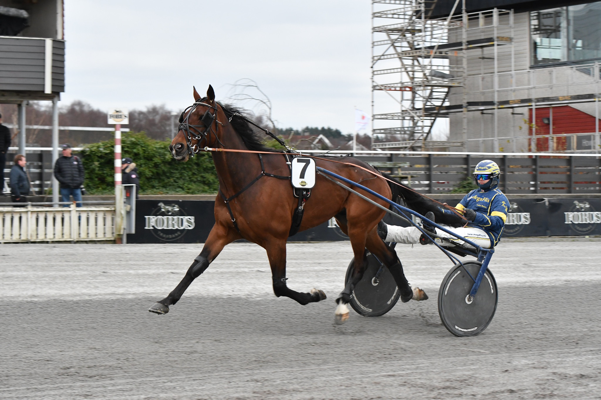 V75-vinder og derbydeltager i Lundens amatørløb. 52514011474_12e3bd5880_k