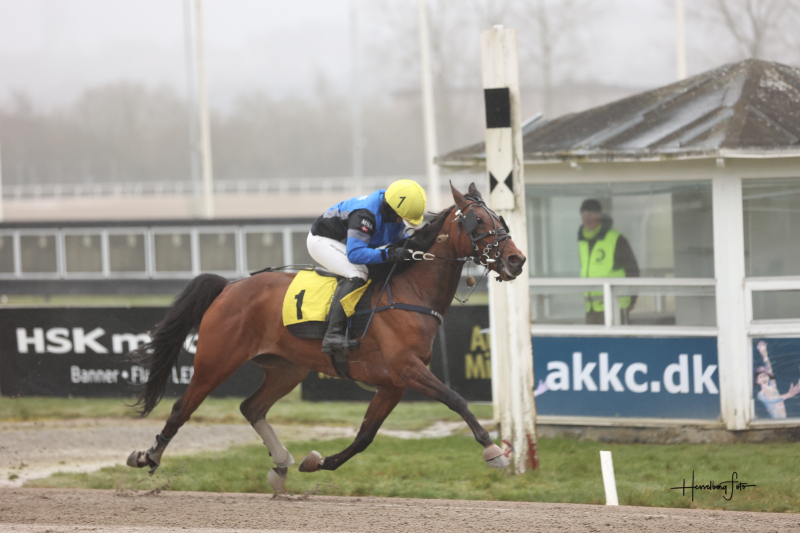 Solgt her – Vandt i dag 895A4911