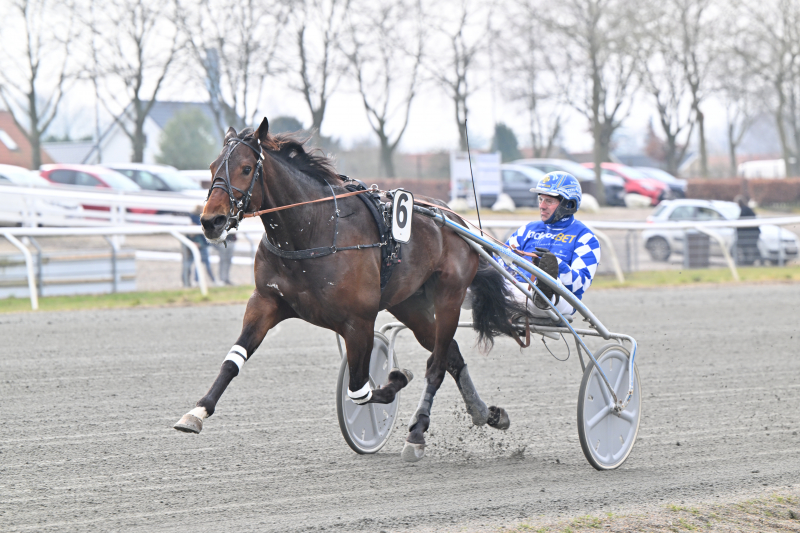 USA-Import gjorde kort proces - Mere følger B_A_SUPERHERO_NZ9_7969
