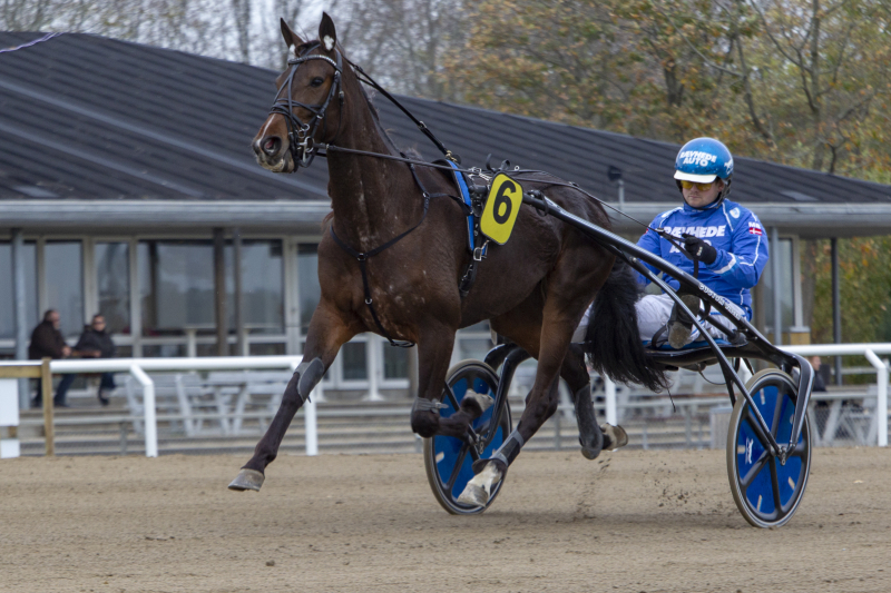 DM-Vinder til avl C95F0181_Diva_Sisa_Mark_B_k_Nielsen_