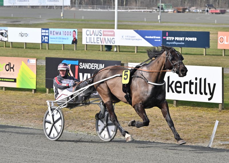 Sådan gik det på Fyn CASH_VALLEY_NZ9_7768