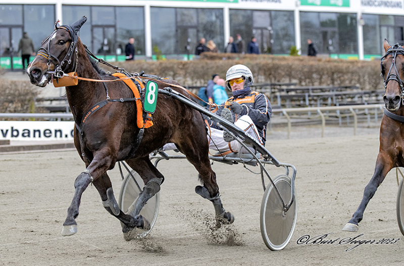 HARALD_DERM_S2_2208