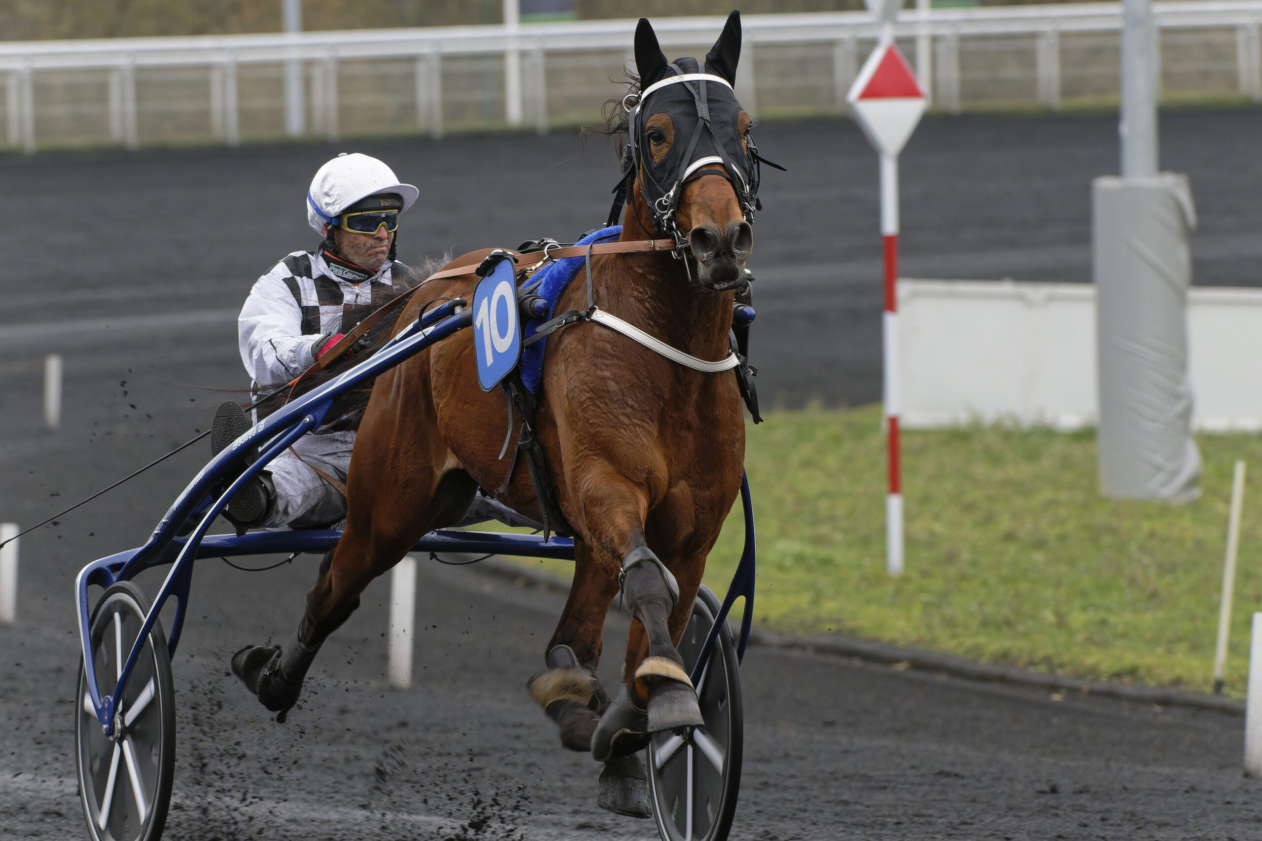 Elitloppet - Afbud fra Horsy Dream Vincennes-04-03-2023