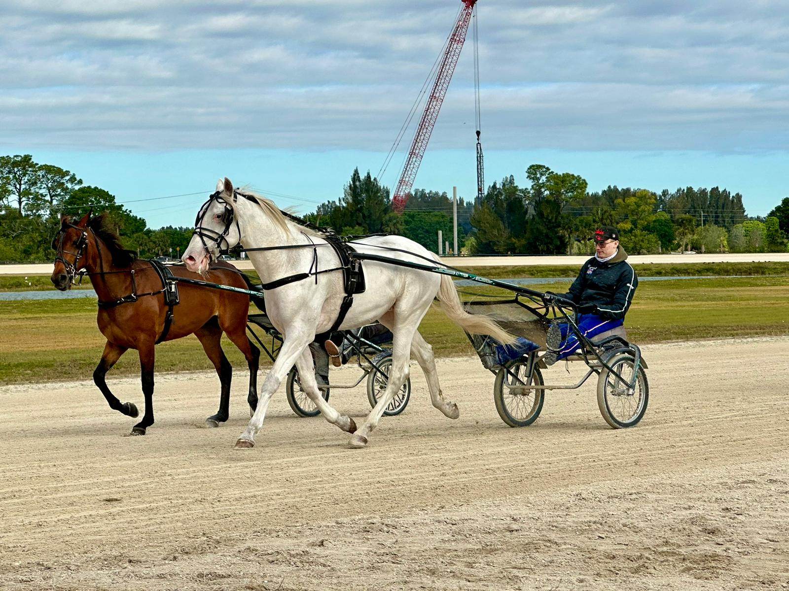 Rosleff giver dansk travsport flot omtale victor