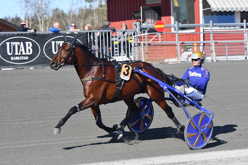 Elitloppet - San Moteur klar 52006668575_b2237d460f_c