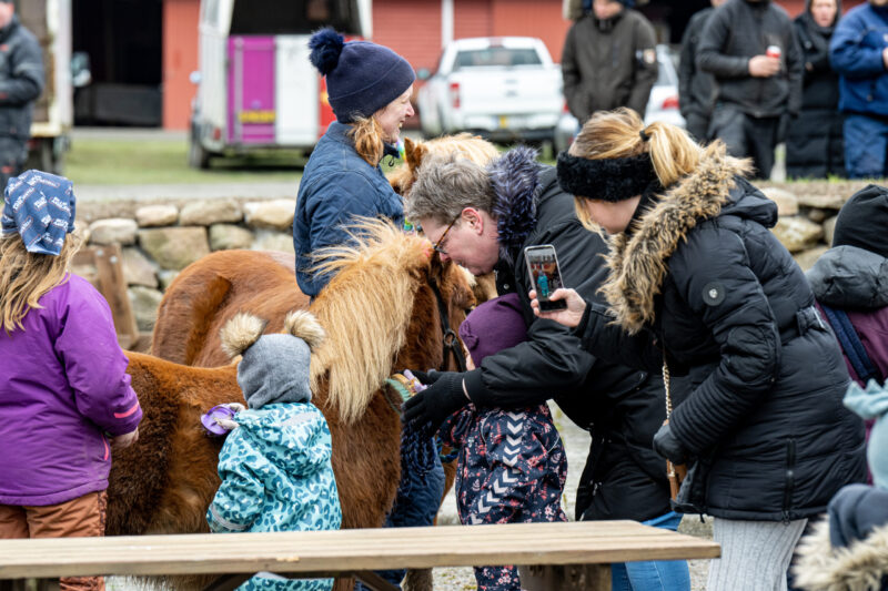 Dansk Hestevæddeløb – Hestepakken Bornholms Brand Park 1 april 2023 Fotograf Torben Ager - Travfot