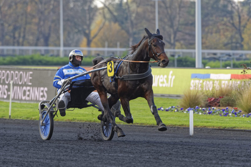 Calle supportere lejer en bus til København vincennes, 2020