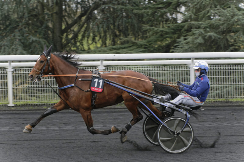 Elitloppet - Velkommen til Go On Boy Vincennes- 12-02-2023