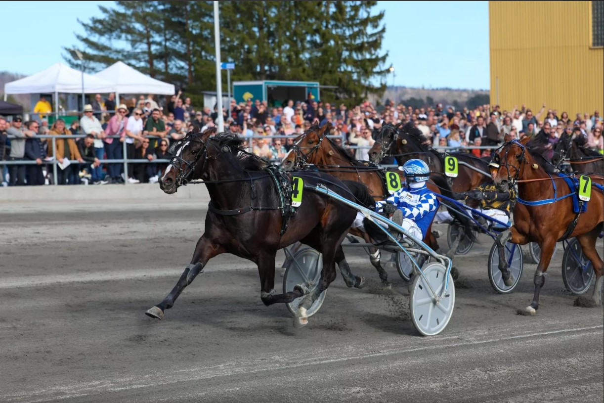 Norge – Dobbeltsejr til Team Westergaard Skærmbillede 2023-04-08 170541