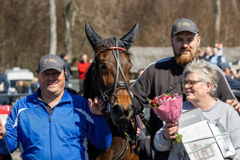 Fantastisk hest og fantastisk pris dam