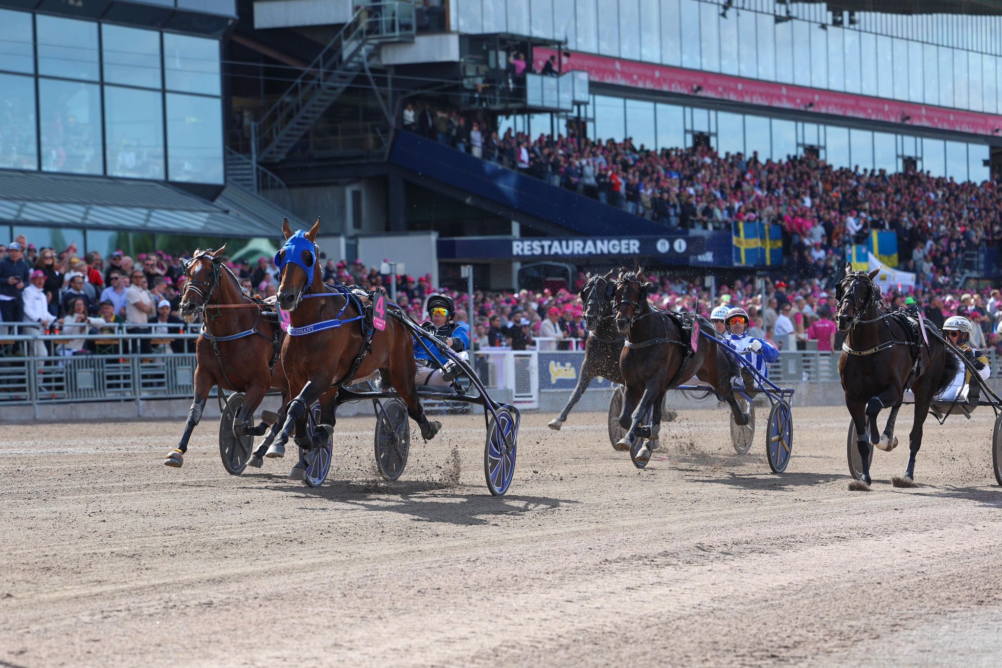 Elitloppet, Forsøg 1 til Etonnant 349594497_273663731806849_5223814739775322538_n